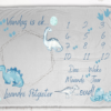 Dino Milestone Blanket