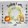 Winni the pooh milestone blanket