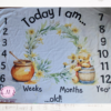 Winni the pooh milestone blanket - Image 2