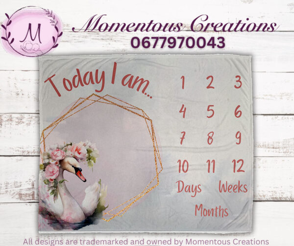 Pink Swan Baby Duvet Set - Image 6