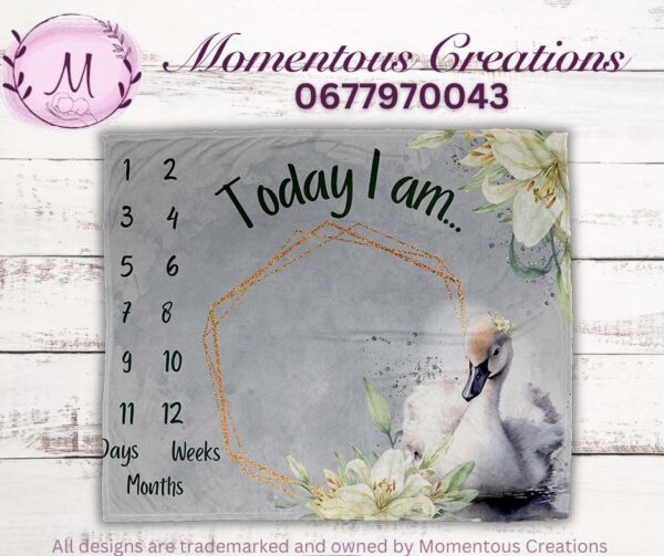Dreamy Swan Baby Duvet Set - Image 7